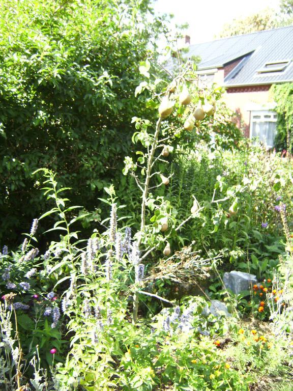 B&B Het Uilennest Bocholt Eksteriør billede