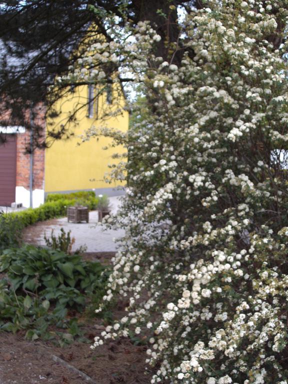 B&B Het Uilennest Bocholt Eksteriør billede